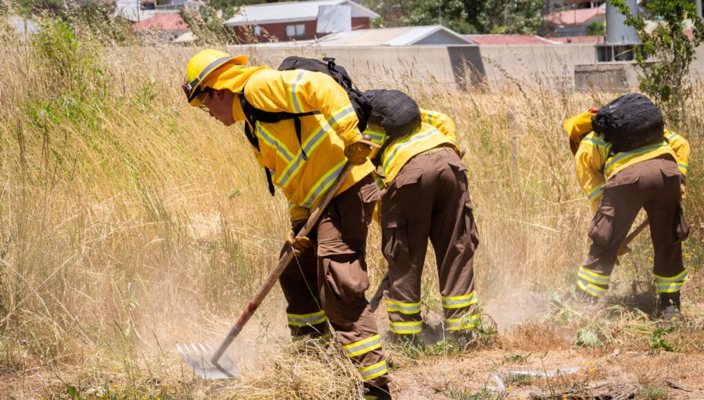 145f87d1-2462-4a78-8313-2bb303e50990