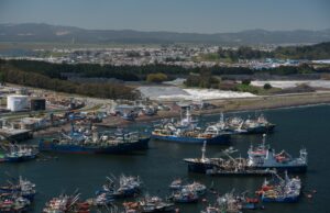 Tras denunciar ilegalidad Pescadores llevan a Contraloría resolución de la Subpesca ante nuevo Fraccionamiento