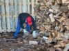 Biobío lidera convocatoria 2025 del programa Leña Más Seca con 20 productores seleccionados