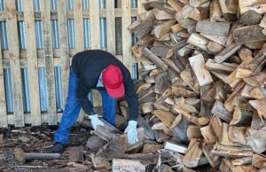 Biobío lidera convocatoria 2025 del programa Leña Más Seca con 20 productores seleccionados