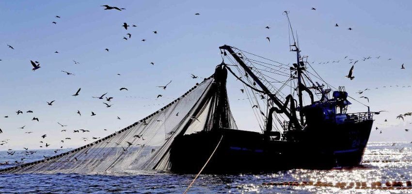 5f899e61-ef4e-48bc-b3b9-82659ee6f5bd