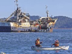 Familiares de pescadores fallecidos de la lancha Bruma estudian presentar una querella criminal en contra de Blumar, por obstrucción y encubrimiento
