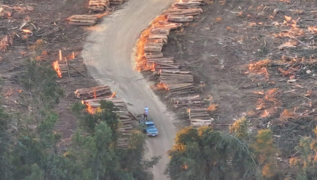 6e0d98e2-0315-41b6-bff9-6b7fba206a6e