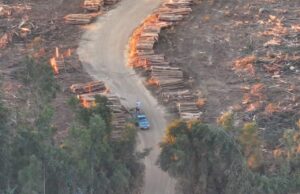 Autor de robo de madera provocó incendio durante su huida