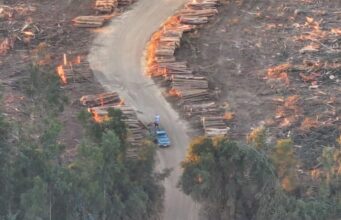 Autor de robo de madera provocó incendio durante su huida