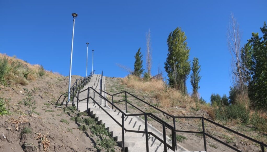 aa654209-fc6d-4a7e-8b6c-a838c15a15b1