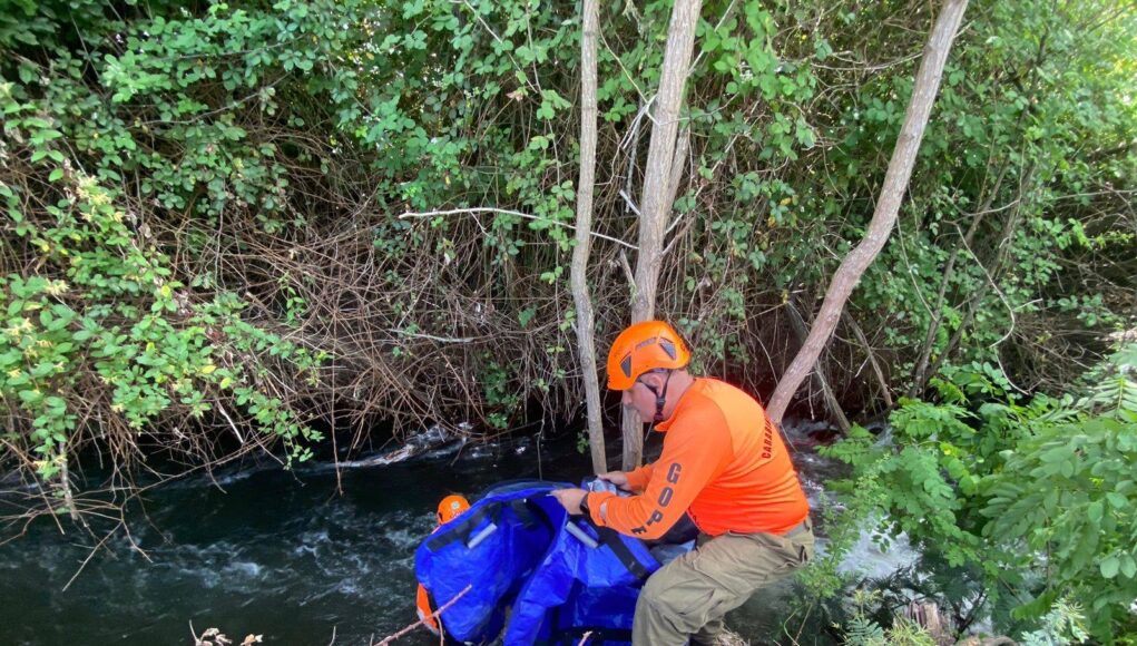 df50ce18-f3d4-4955-aa5b-7eab6f8e8198