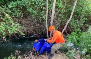 Mujer desaparecida tras accidente es hallada sin vida en canal de Mulchén