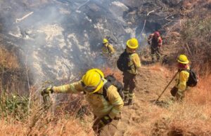 Llaman a evacuar Rinconada Villa las Estrellas por incendio forestal
