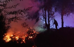 Fiscalía reporta identificación total de fallecidos por incendios en Biobío