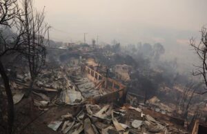 Fiscal nacional confirma investigaciones en curso por incendios forestales