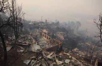 Fiscal nacional confirma investigaciones en curso por incendios forestales