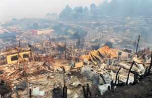 Gobierno confirma 16 muertos por incendios forestales en Biobio y Ñuble