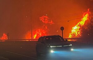 Casi 40 mil clientes sin luz en el Biobío por incendios forestales
