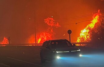 Casi 40 mil clientes sin luz en el Biobío por incendios forestales