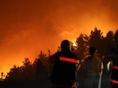 Confirman detención de sujeto por inicio de incendio en Punta de Parra