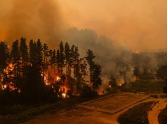 PDI detiene a una persona por presunta responsabilidad en incendios en el Biobío