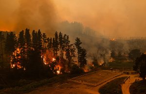 PDI detiene a una persona por presunta responsabilidad en incendios en el Biobío