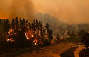 PDI detiene a una persona por presunta responsabilidad en incendios en el Biobío