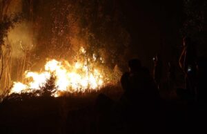 Encuentran recipientes con líquido acelerante en el camino que une a Concepción y Cabrero