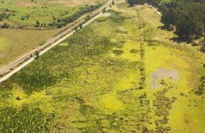 Celebran que Región del Biobío alcanzó los 25 Humedales Urbanos protegidos