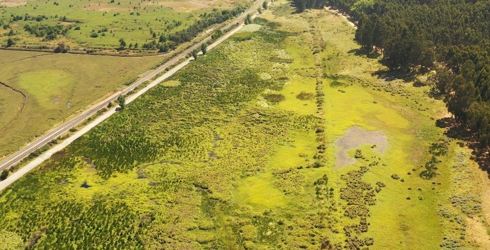 8bf7e037-00a2-4add-9390-effb2ea10b8e