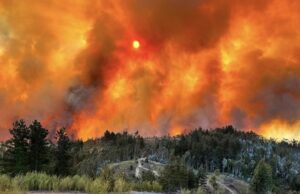 Por Incendio Forestal solicitan evacuar sectores de Tomé, Penco y Concepción