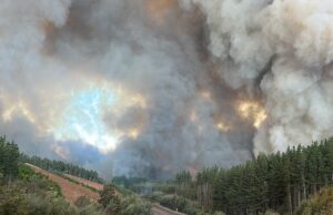 Incendio forestal obliga a declarar Alerta Roja y suspender tránsito en ruta del Itata
