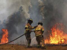 Alerta SAE ordena evacuación en sectores de Tirúa por incendio forestal