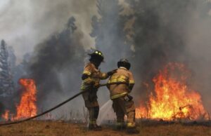 Alerta SAE ordena evacuación en sectores de Tirúa por incendio forestal