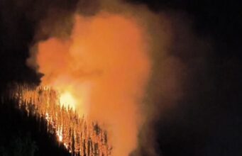 Bomberos denuncia que voluntario de la institución habría provocado incendio forestal en Patagual