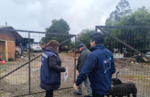 MINVU inicia aplicación de Fichas de Evaluación de Viviendas en zonas afectadas por incendios en el Biobío