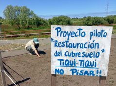 En el Día Mundial de los Humedales: resaltan la conservación del Parque Humedal Los Batros