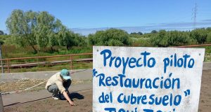 En el Día Mundial de los Humedales: resaltan la conservación del Parque Humedal Los Batros