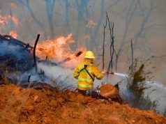 Declaran Alerta Roja en Los Ángeles por incendio forestal