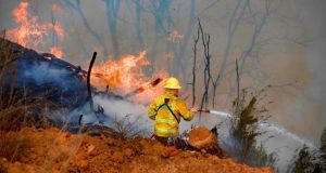 Declaran Alerta Roja en Los Ángeles por incendio forestal