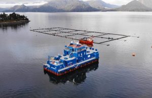 Blumar demanda al Estado por fraccionamiento pesquero acusando perjuicio por US$216 millones