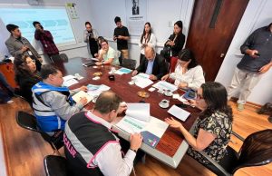 Biobío activa inscripción a subsidio habitacional para familias afectadas por incendios forestales