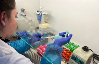 Primer caso confirmado de Hantavirus en Biobío en 2026 tras muerte de joven