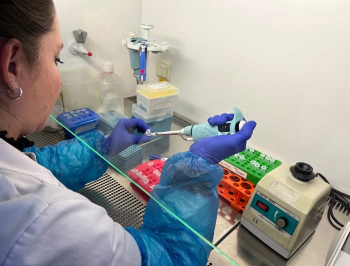 81231091-31cc-44e5-93c7-afc5f22f7df7