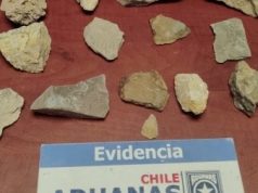 Aduana de Talcahuano incauta 18 fósiles paleontológicos en el maletero de un vehículo en Paso Fronterizo