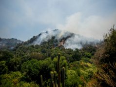 Senapred emite alerta roja en Antuco por incendio forestal
