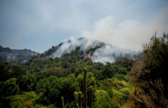 Senapred emite alerta roja en Antuco por incendio forestal