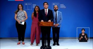 Avanza despliegue de ayudas estatales tras incendios en Ñuble y Biobío