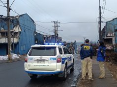 Detienen a sujeto que se hacía pasar por veterinario en sector Punta de Parra