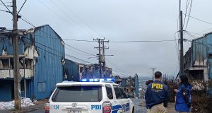 Detienen a sujeto que se hacía pasar por veterinario en sector Punta de Parra