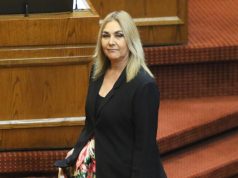 Pamela Jiles propuso un retiro de fondos previsionales para afectados por incendios