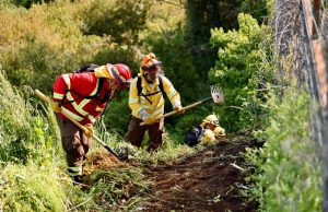 Conaf refuerza monitoreo de incendios ante aumento de temperaturas