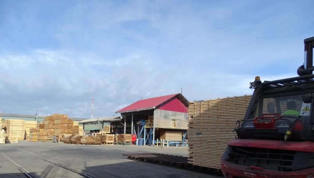 d867a5fe-437b-4f22-b631-133eb603368e