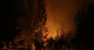 Controlan incendios forestales que dejaron más de 3 hectáreas consumidas en Antuco